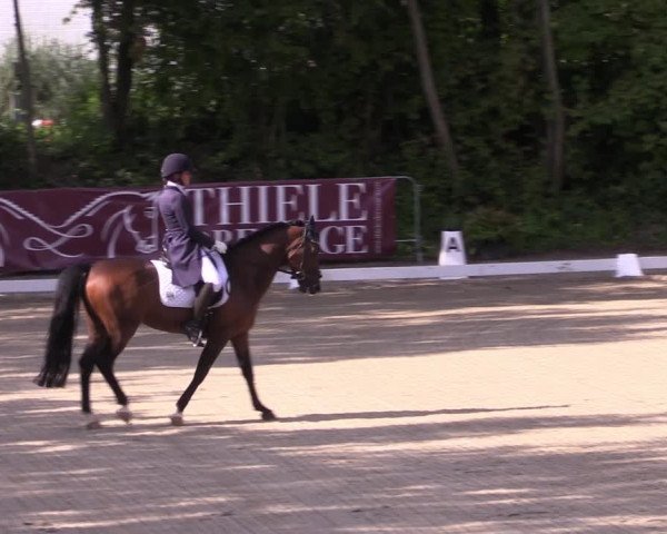 Reitturnier Köln-Flittard (Scheuerhof) 2023
