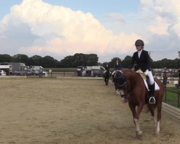 Reitturnier Ostbevern 2023