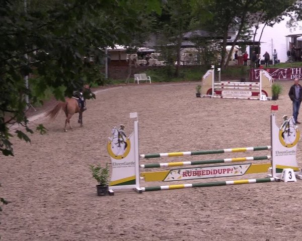 Reitturnier Köln-Flittard (Scheuerhof) 2023