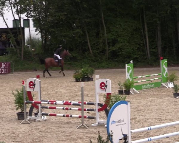 Reitturnier Köln-Flittard (Scheuerhof) 2023