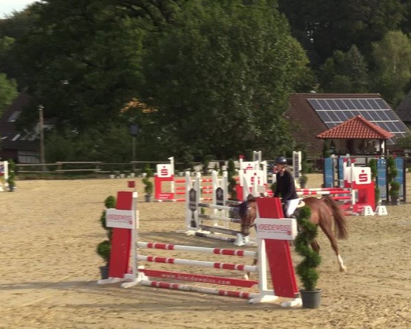 Reitturnier Vlotho-Valdorf 2023