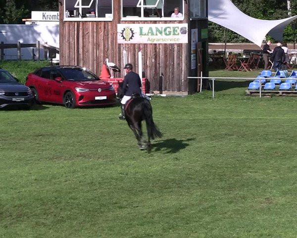 Reitturnier Dannenberg 2023