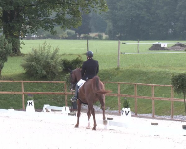 Reitturnier St. Ulrich am Pillersee 2023