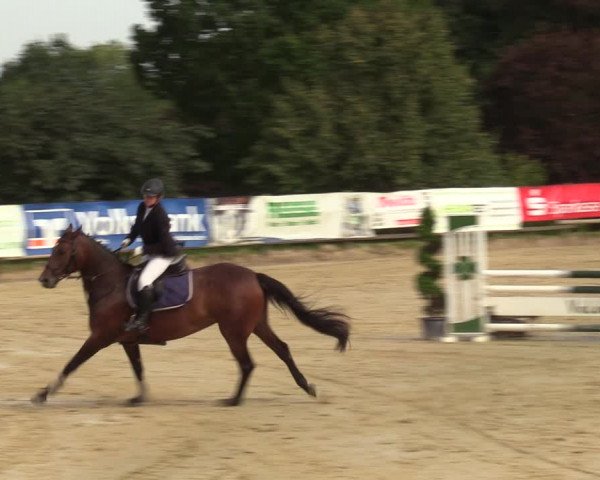 Reitturnier Vlotho-Valdorf 2023