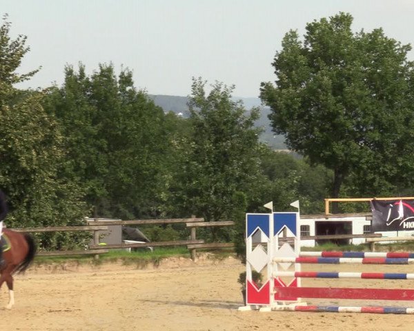 Reitturnier Vlotho-Valdorf 2023