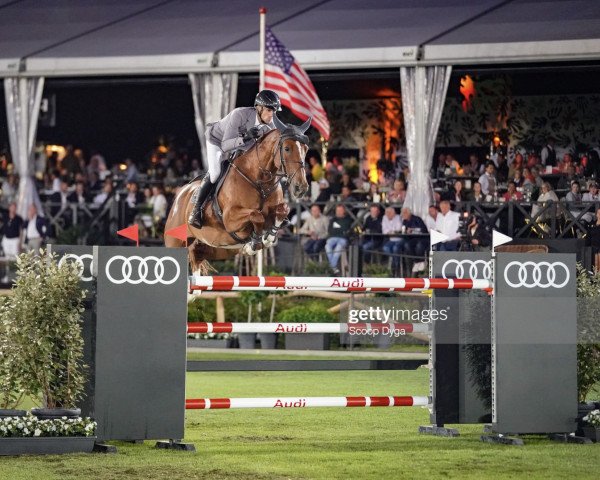 Springpferd Nice van't Zorgvliet (Belgisches Warmblut, 2013, von Emerald van 't Ruytershof)