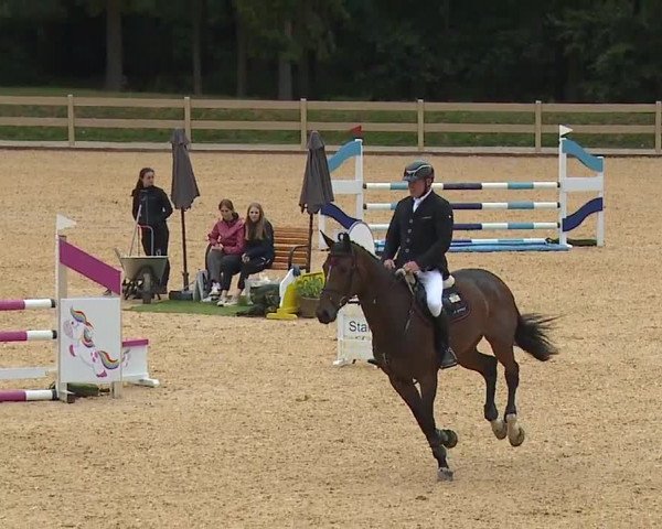Reitturnier Tiefenhof 2023