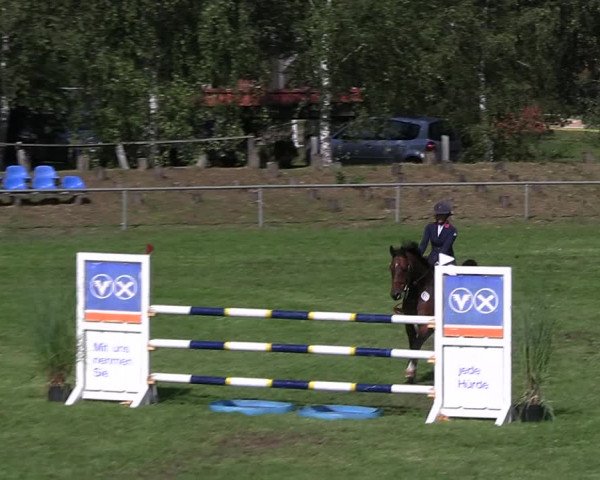 Reitturnier Dannenberg 2023