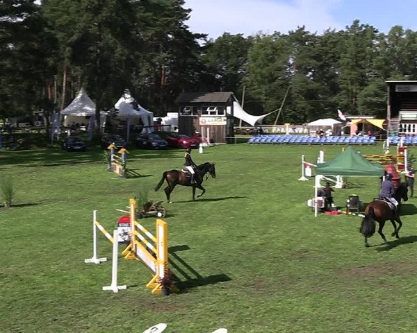 Reitturnier Dannenberg 2023