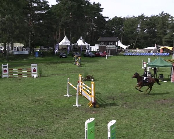 Reitturnier Dannenberg 2023
