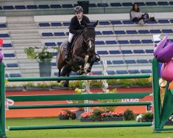 jumper Kobalt (KWPN (Royal Dutch Sporthorse), 2015, from VDL Harley)