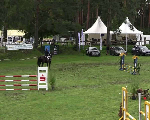 Reitturnier Dannenberg 2023