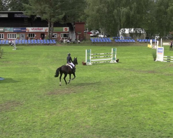Reitturnier Dannenberg 2023