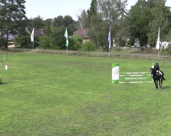 Reitturnier Dannenberg 2023