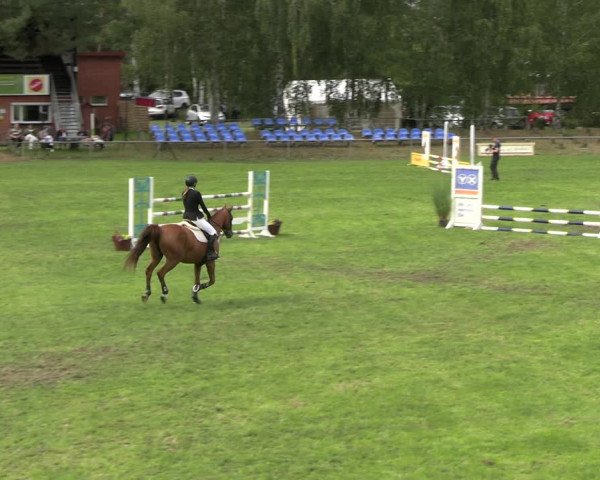 Reitturnier Dannenberg 2023