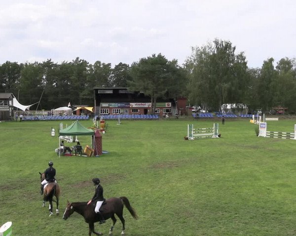 Reitturnier Dannenberg 2023