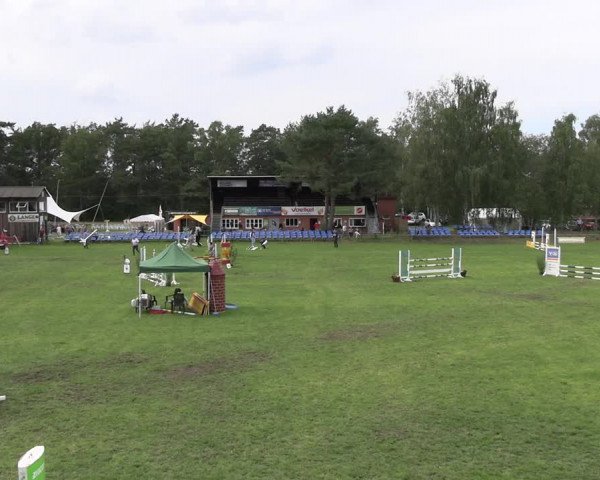 Reitturnier Dannenberg 2023