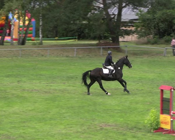 Reitturnier Dannenberg 2023