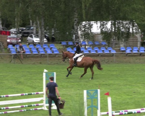 Reitturnier Dannenberg 2023