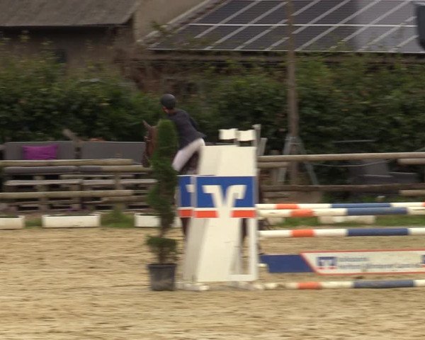 Reitturnier Vlotho-Valdorf 2023