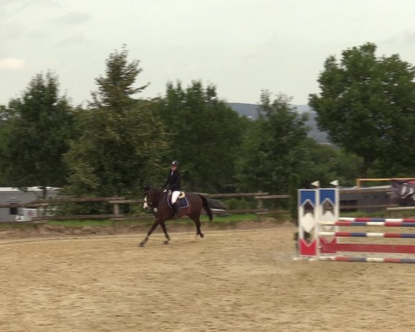 Reitturnier Vlotho-Valdorf 2023