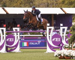 broodmare GL Events Dorai D'Aiguilly (Selle Français, 2013, from Kannan)