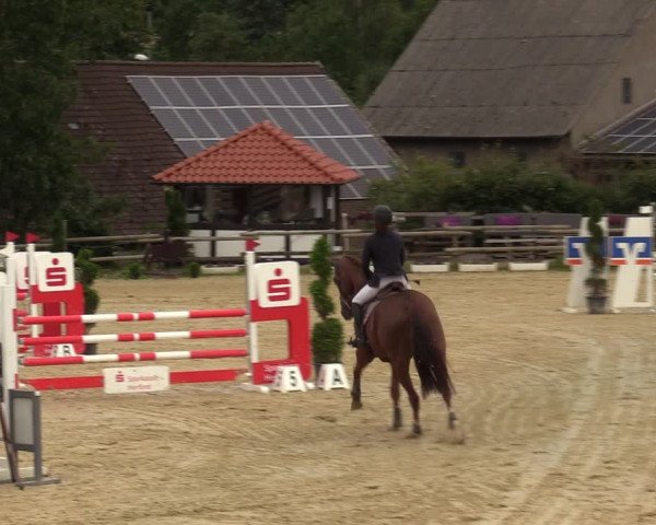 Reitturnier Vlotho-Valdorf 2023