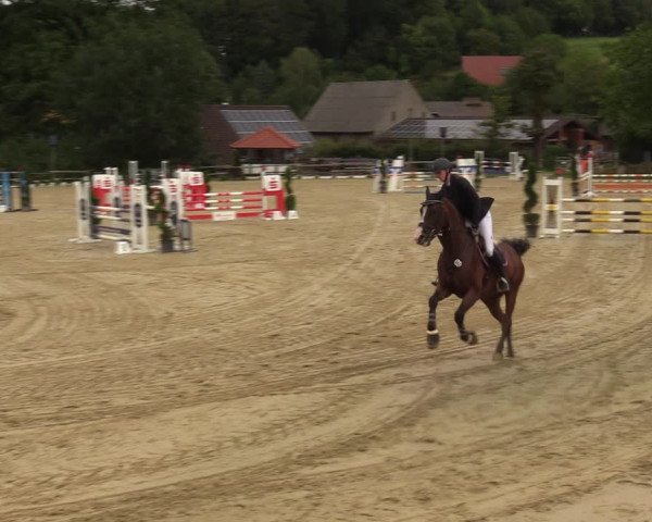Reitturnier Vlotho-Valdorf 2023