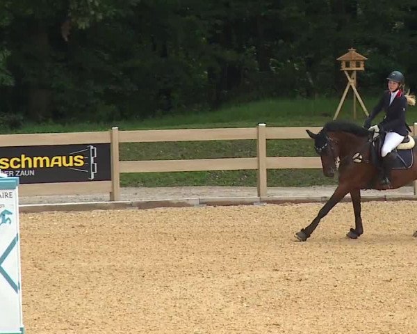Reitturnier Tiefenhof 2023