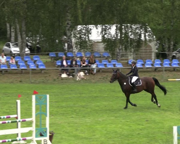Reitturnier Dannenberg 2023