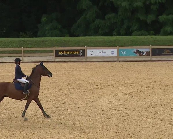 Reitturnier Tiefenhof 2023
