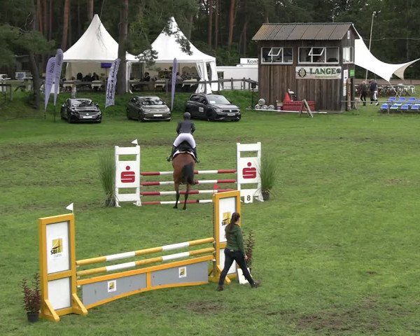Reitturnier Dannenberg 2023