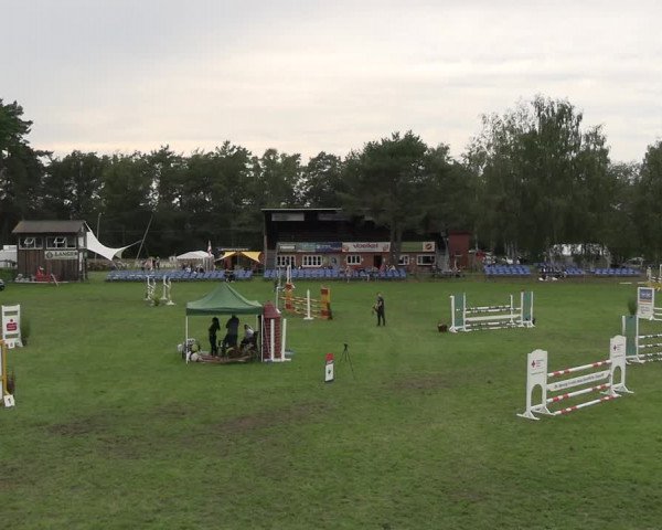 Reitturnier Dannenberg 2023