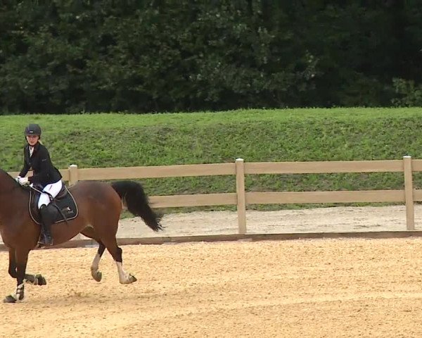 Reitturnier Tiefenhof 2023