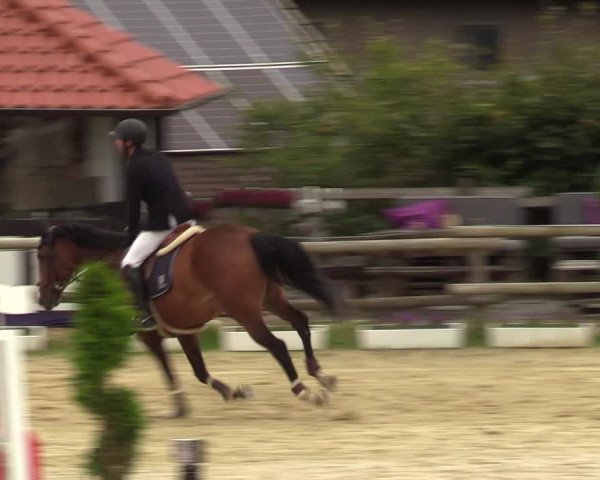Reitturnier Vlotho-Valdorf 2023