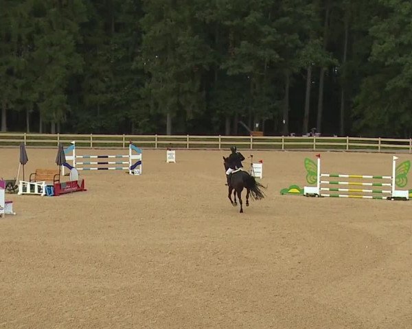 Reitturnier Tiefenhof 2023