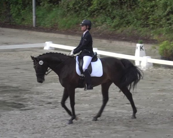 Reitturnier Köln-Flittard (Scheuerhof) 2023
