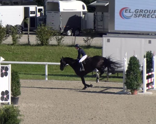 Reitturnier Bülach 2023