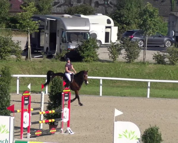Reitturnier Bülach 2023