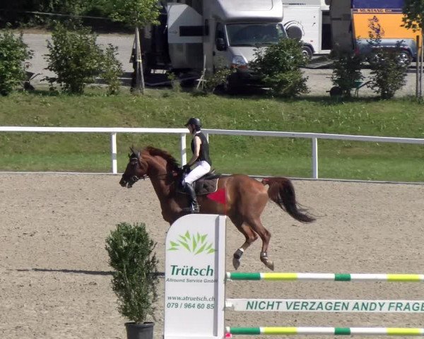 Reitturnier Bülach 2023