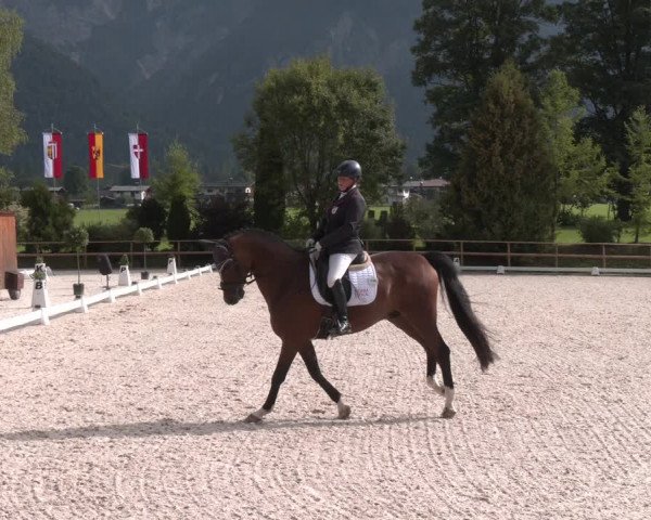 Reitturnier St. Ulrich am Pillersee 2023