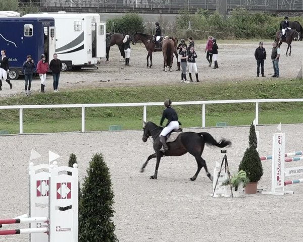 Pferdesporttage Bülach 2021