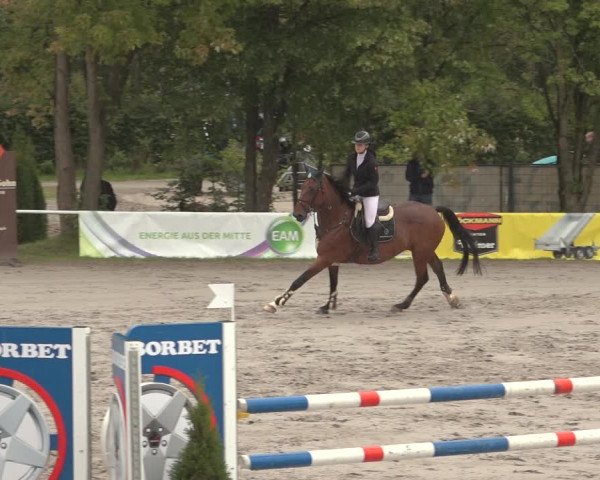 Reitturnier Richelsdorf 2023