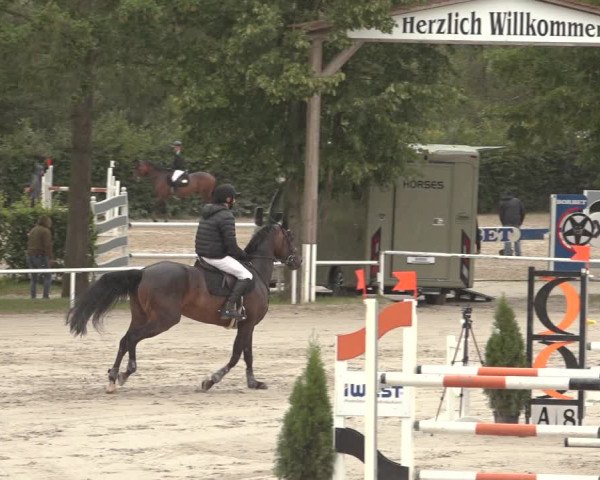 Reitturnier Richelsdorf 2023