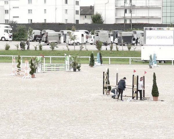 Pferdesporttage Bülach 2021