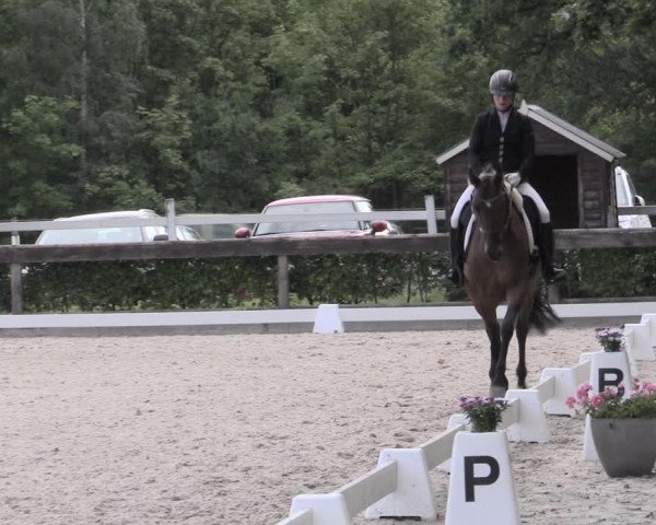 Reitturnier Müncheberg 2023
