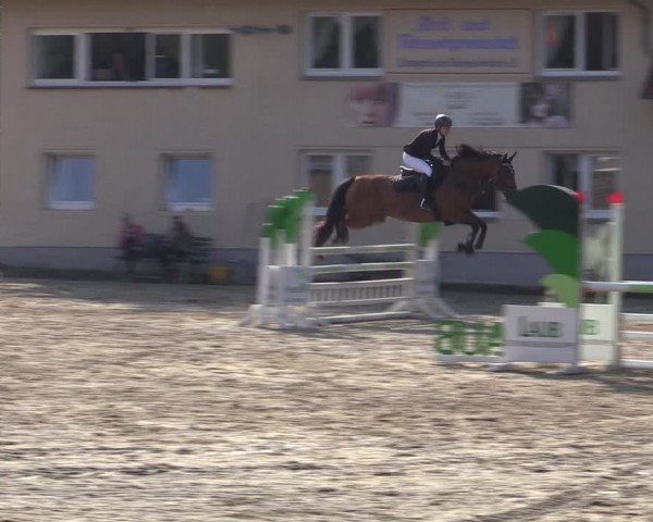 Reitturnier Lgl.-Oberhain, B95 2021