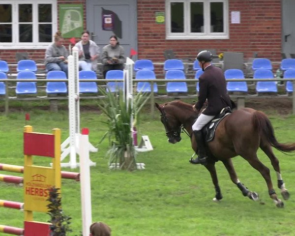 Reitturnier Dannenberg 2023