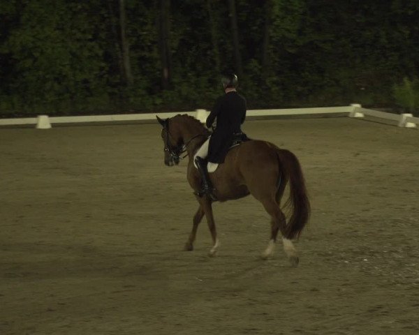Reitturnier Köln-Flittard (Scheuerhof) 2023