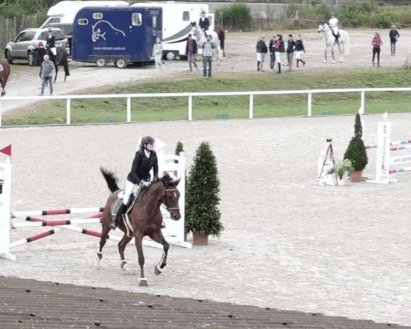 Pferdesporttage Bülach 2021
